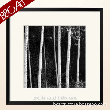 Modern black and white art silver birch trunk oil painting